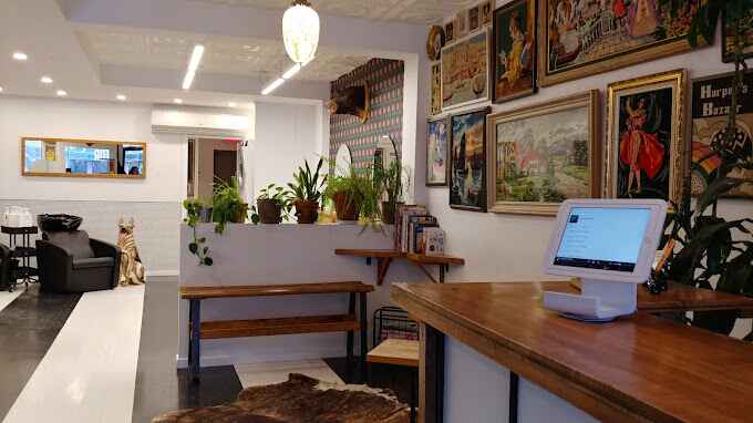 luxurious salon two horses montreal luxurious salon two horses montreal