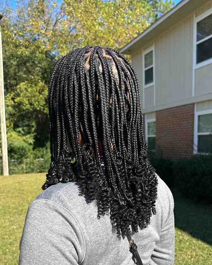 short cornrows knotless braids
